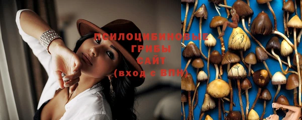 гидропоника Бронницы