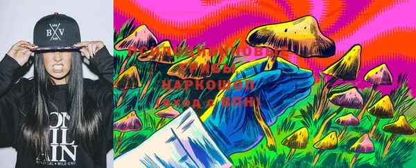 стафф Богданович