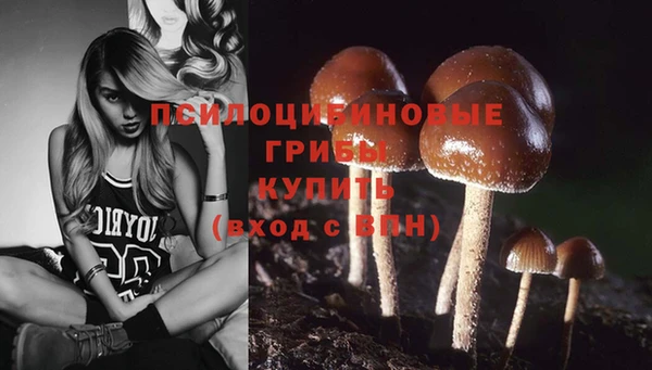 гидропоника Бронницы