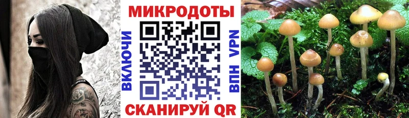 наркошоп  Туймазы  Галлюциногенные грибы GOLDEN TEACHER 